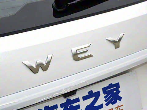 2022�� 1.5T DHT����