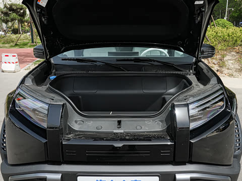 2025�� 501KM ����Max��