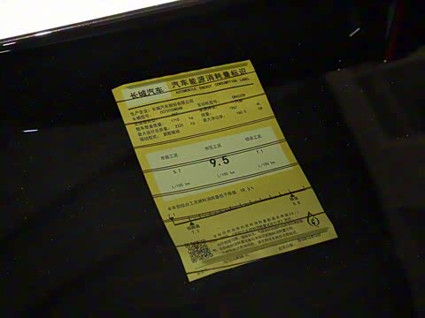 2019�� ������ 2.0T �����콢�� ��VI