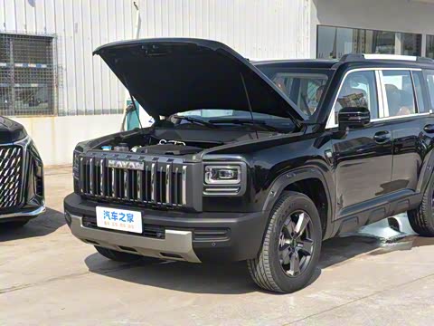 2025�� 2.0T 4WD Pro