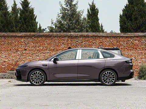 2025�� 550������