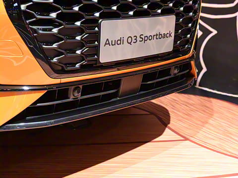 2020�� 45 TFSI quattro ������