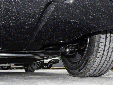 2025�� 445km ��ѡ��