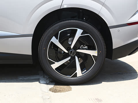 2025�� DM-i 170�캽Pro��