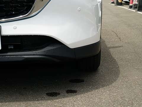 2025�� 2.0L �Զ���������Pro