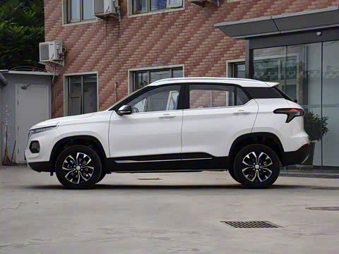 2019�� 1.5L CVT������ ��VI