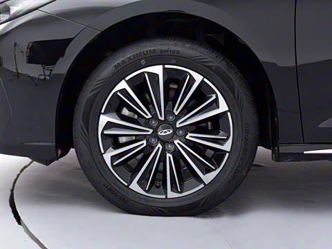 2025�� 145km ������