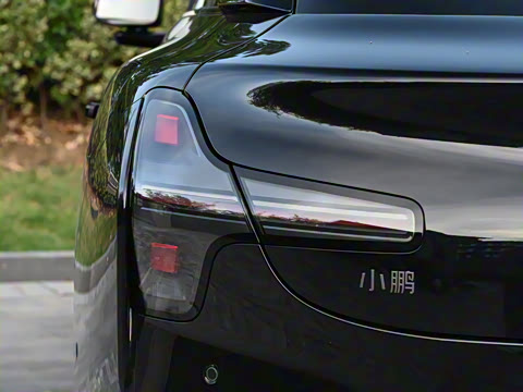 2025�� 502 ������ Max