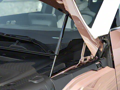 2026�� �鶯������