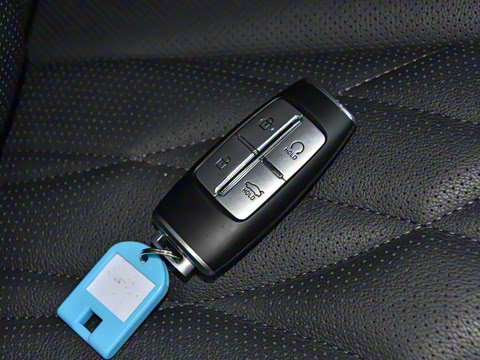 2021�� 2.5T ����������