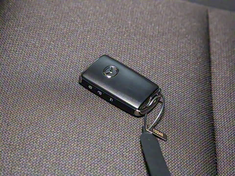 2022�� 2.0L �Զ������