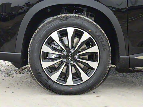 2025�� 290TGDI DCT�˷�� 