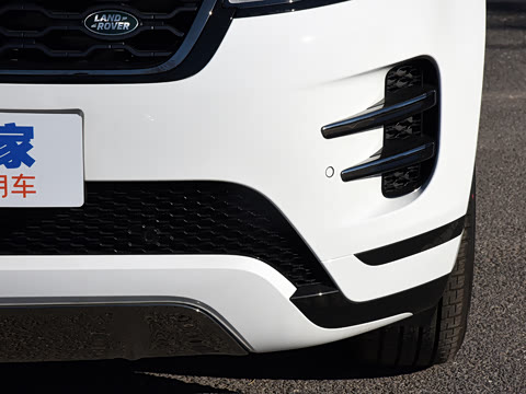 2021�� ����L P300e ������