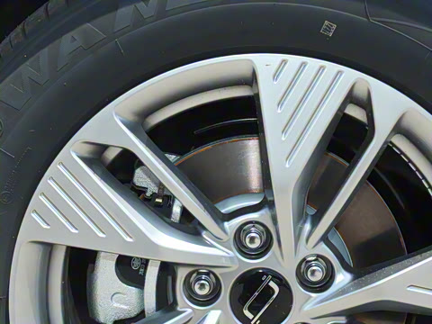 2025�� 445km ��ѡ��