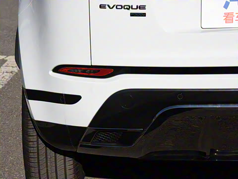 2021�� ����L P300e ������