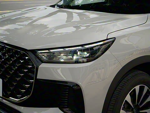 2025�� 290TGDI DCT�˷�� 