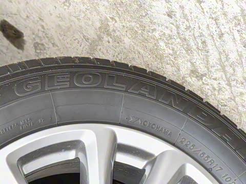 2025�� 2.0L �Զ���������Pro