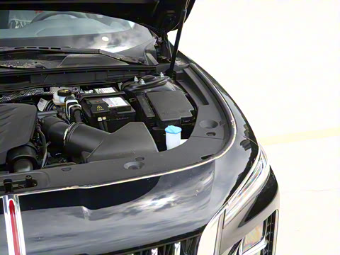 2025�� 1.5T DCT���ð�