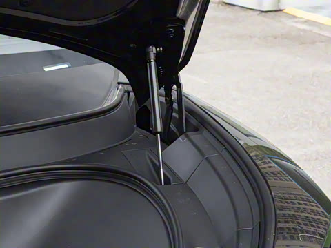 2025�� Max ���������