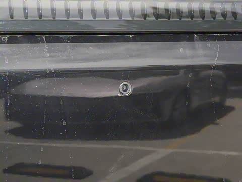 2025�� ���� 265 Pro�������ٸ�����ʻ