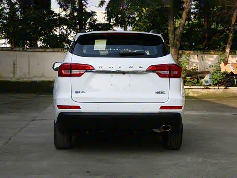 2019�� 1.5T �ֶ�������Ӣ�� ��V