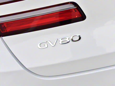 2021�� 2.5T ����������