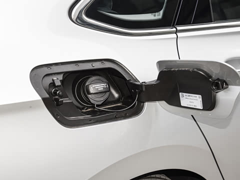 2025�� �Ŀ��� 300TSI DSG��Խ��