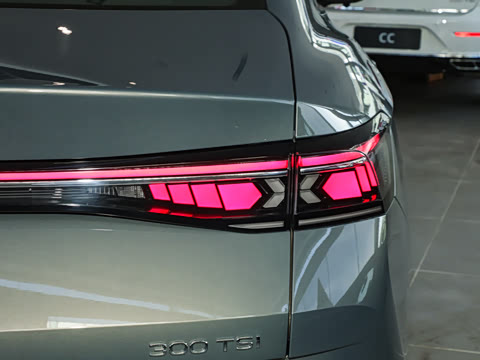 2024�� 300TSI DSG������