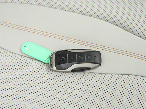 2021�� DM-i 51KM ������