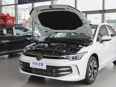 2025�� �Ŀ� 300TSI Pro