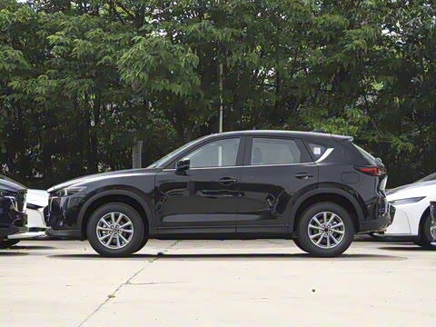 2024�� 2.0L �Զ�����������