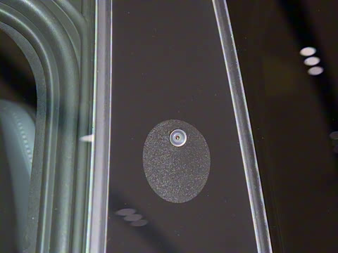 2025�� ������������������Max��