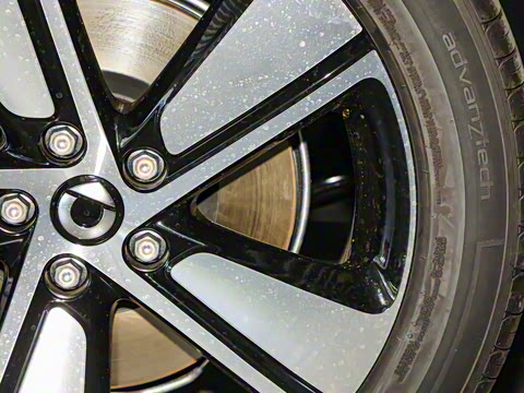 2026�� �鶯��������