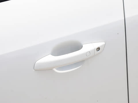 2025�� 520�ǻݰ�