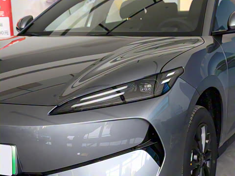 2025�� 520�ǻݰ�