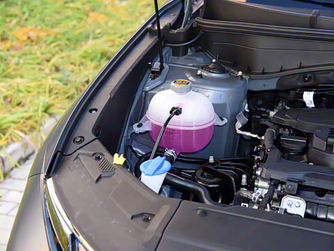 2022�� ;ʤL 1.5T DCT LUX���� N Line