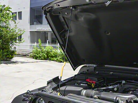 2025�� 3.6L ٪�޼�����̽����