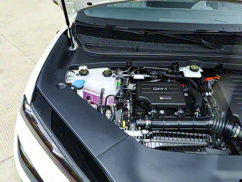 2025�� DM-i 170�캽Plus��