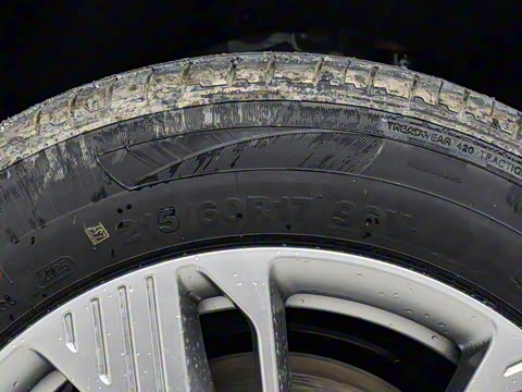 2025�� 445km ��ѡ��