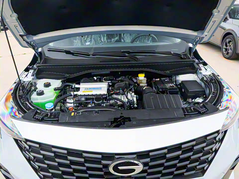 2025�� Ӱ�� 270T ������ ƽ������