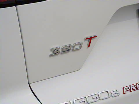 2024�� �ھ��� 390T �����۷�� 5��