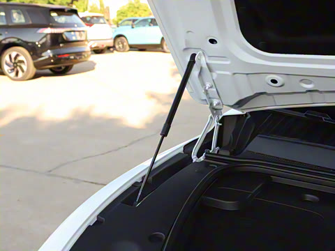 2025�� ���� 550������