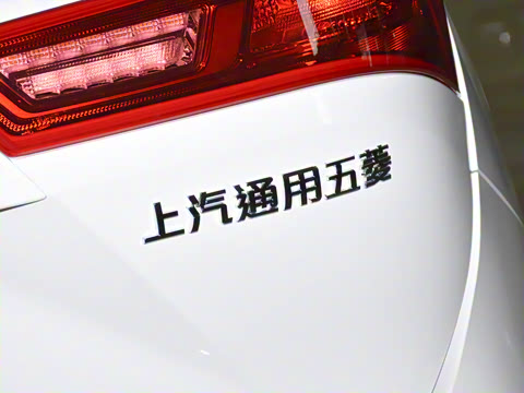 2021�� ȫ���������� 1.5T �ֶ������� 5��