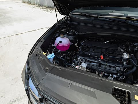 2025�� ;ʤL 1.5T ��Ӣ�� N-Line