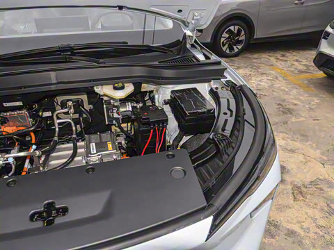 2025�� 565km ������