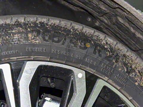 2026�� �������������