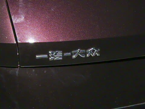 2024��  380TSI DSG���������