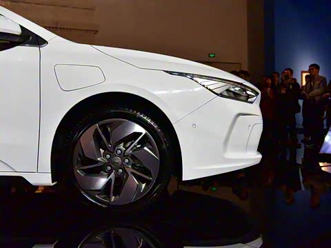 2019�� ��ά��׼�����ݷ���