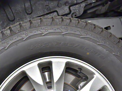 2023�� 4.6L V8 �캽��