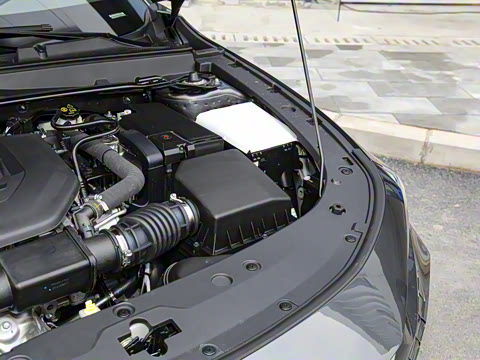 2023�� 2.0T ���ٰ�